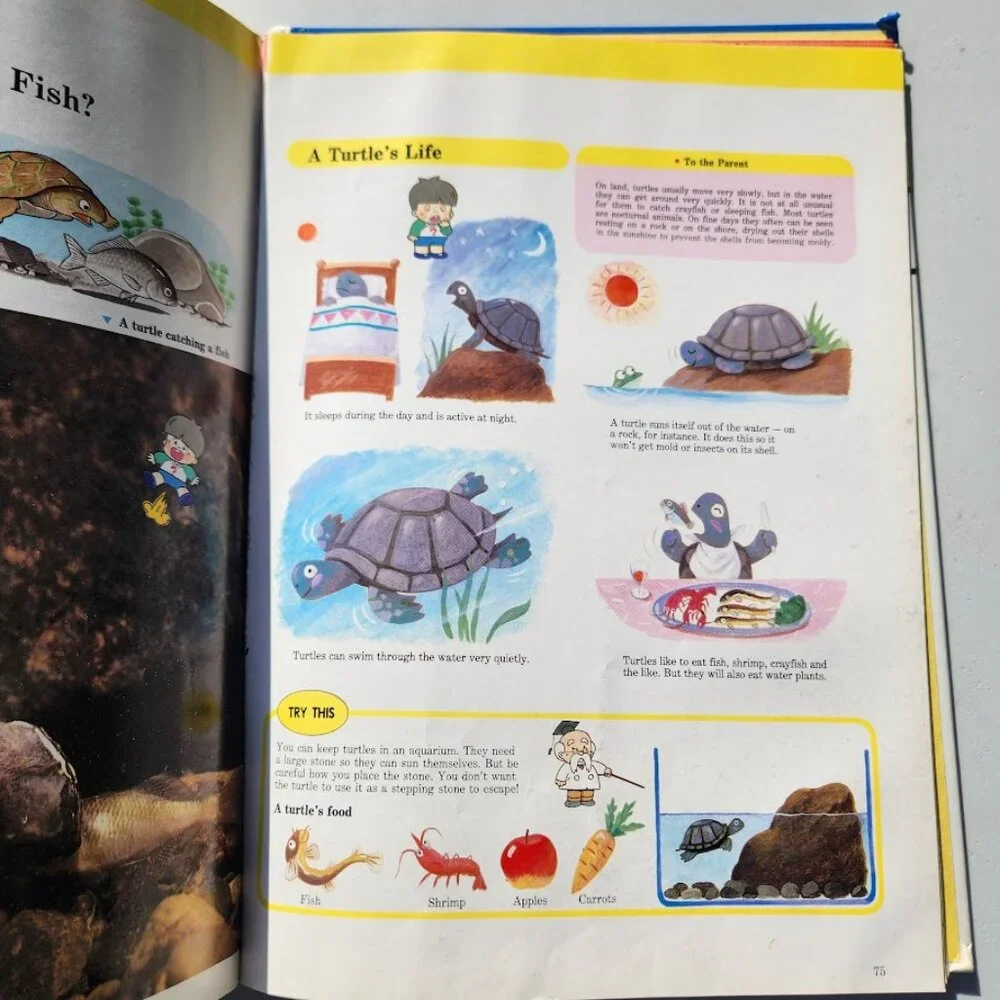 Life in the Water Child's First Library of Learning Science Stem Book Homeschool